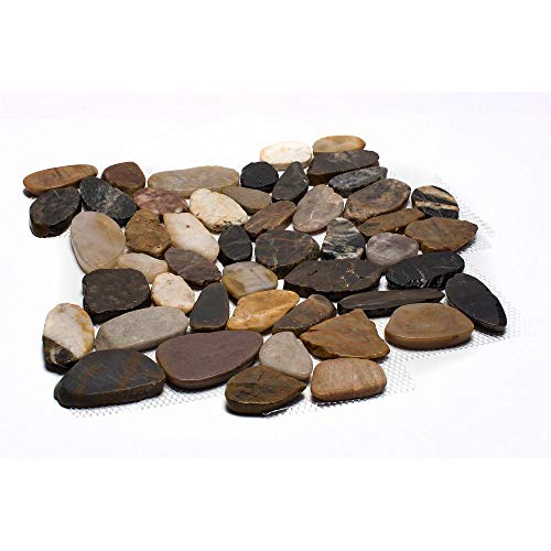 Rain Forest pebble stone floor