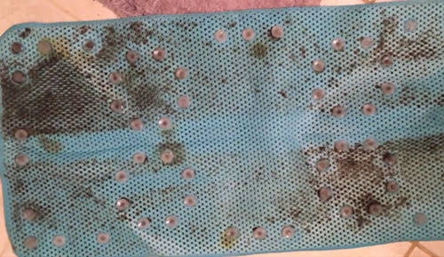 moldy shower mats