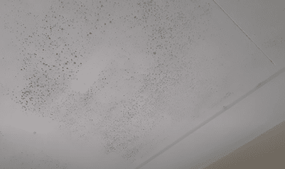 how to prevent mold in bathroom ceiling