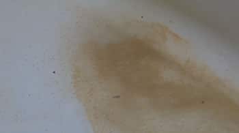 stain removal acrylic bathtub