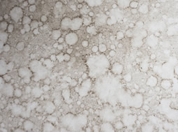 Condensation On Bathroom Ceiling