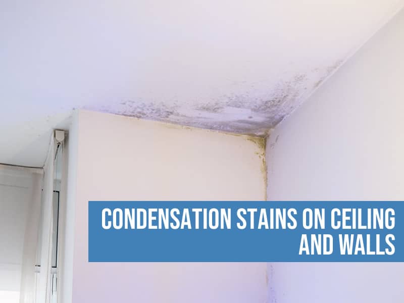 condensation stains on ceiling