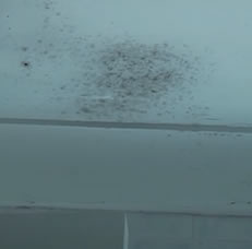 dark black spots on bathroom ceiling
