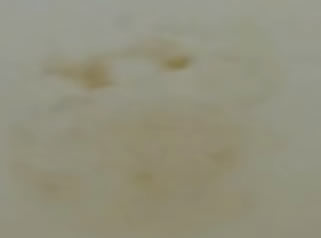 yellow spots on the ceiling bathroom
